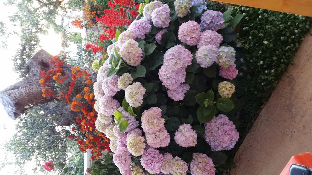 Season Inn Dhërmi Екстериор снимка
